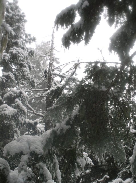 Ghost Ridge-Twin Lakes 047 